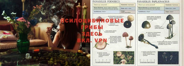 меф Костерёво