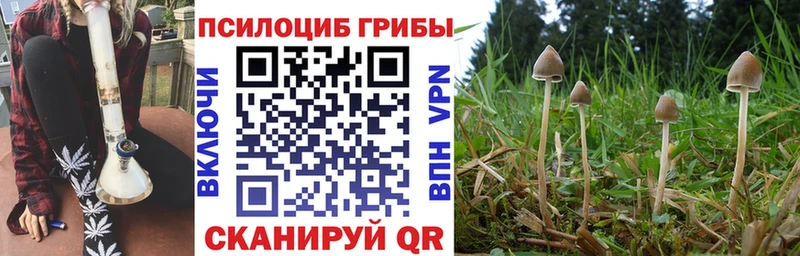 Купить  Янаул  Галлюциногенные грибы Magic Shrooms 